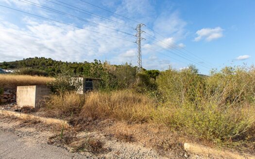 Finca rustica de regadio a tan solo 3 km de la poblacion.