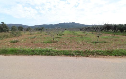 Finca de Almendros con almacén