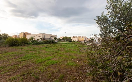 Finca rustica de 1178 m2. Ideal para huerto. Al lado del pueblo!