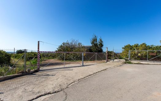 Finca de cítricos con almacén agrícola