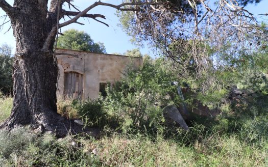 Finca con casa para rehabilitar en les Calafes