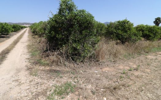 Finca en les Martorelles